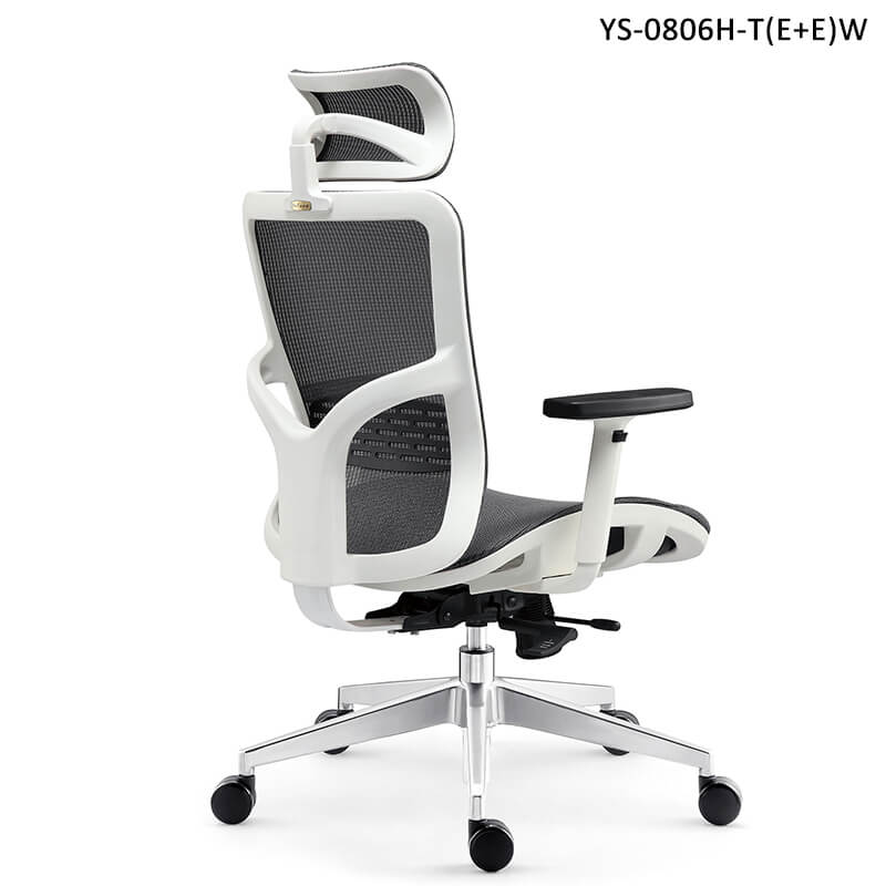Back features of Adjustable Office Chairs