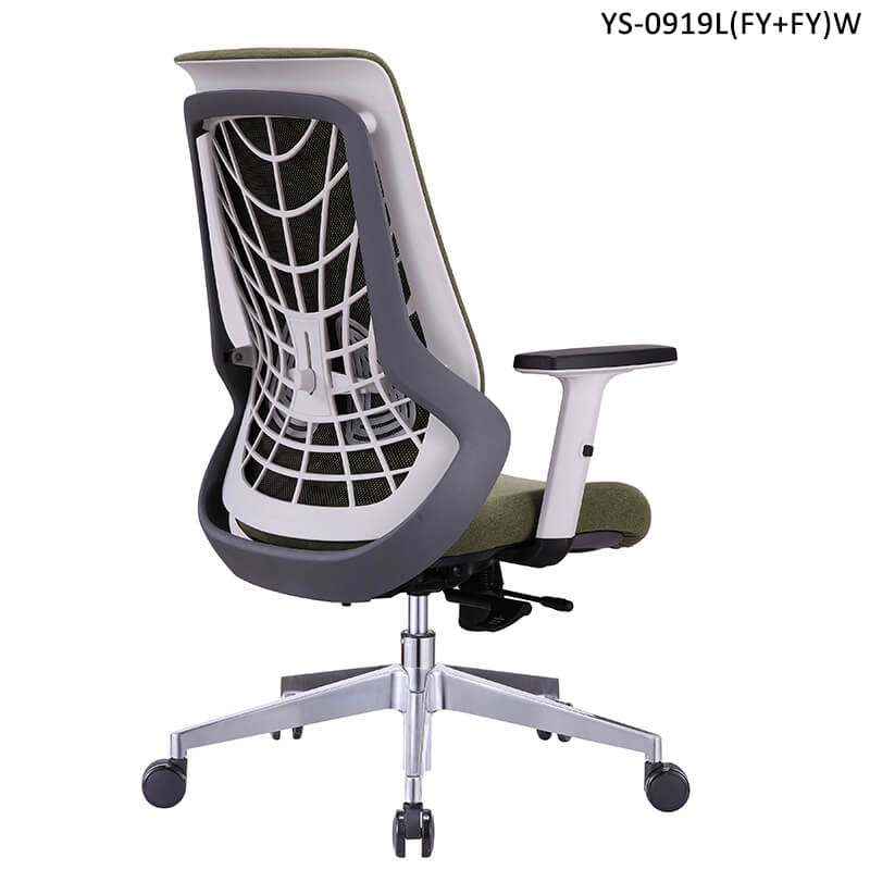 Ergonomic Office Chair Back Support