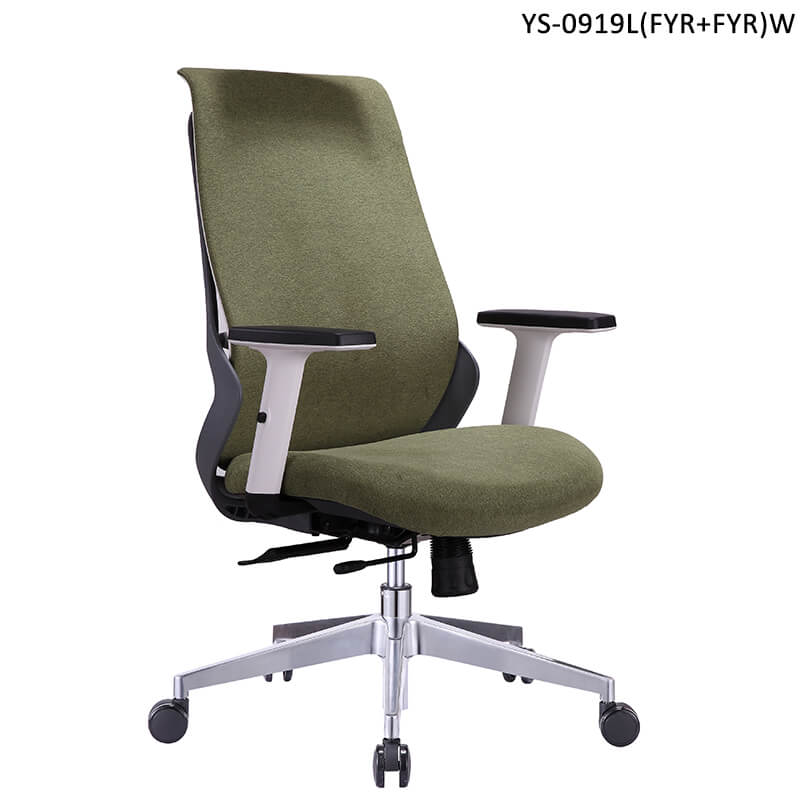 ergonomic task chair lumbar support