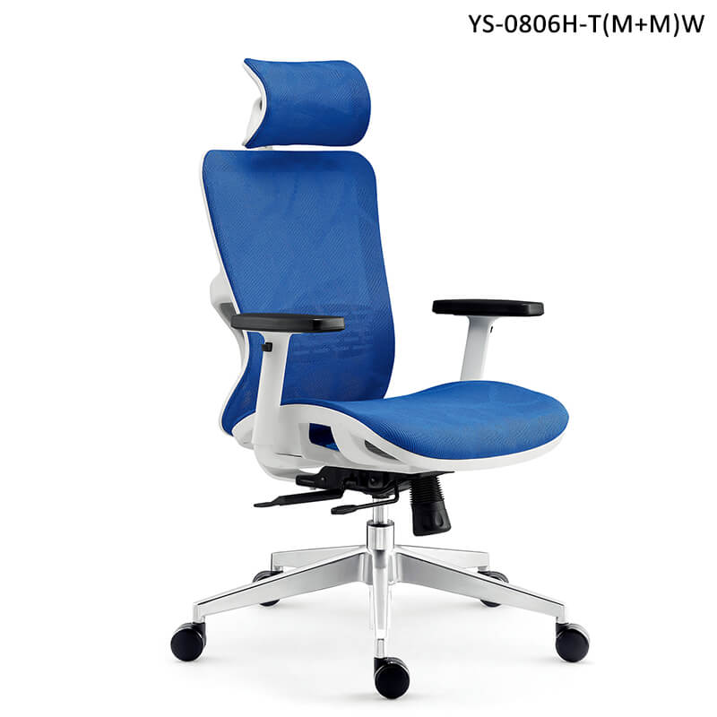 Blue mesh ergonomic office chairs