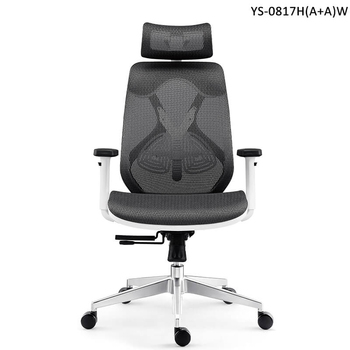 Ergonomic Desk Chair YS-0817H(A+A)W